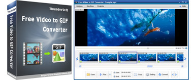 Free Video to GIF Converter - Make animated gif from video files